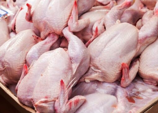 چراغ سبز به صادرات گوشت مرغ / قیمت‌ها در بازار داخلی بالا می‌رود؟