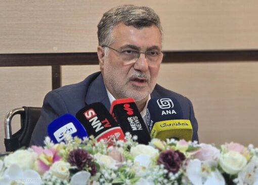 ظفرقندی: مسئله جمعیت فقط موضوع وزارت بهداشت نیست