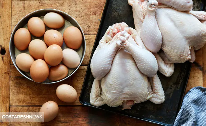 سیگنال عجیب به بازار مرغ | افزایش قیمت تخم مرغ قطعی شد؟ سیگنال عجیب به بازار مرغ | افزایش قیمت تخم مرغ قطعی شد؟