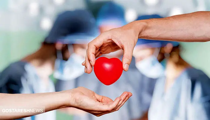 قانون اهدای عضو برای اتباع اعلام شد قانون اهدای عضو برای اتباع اعلام شد