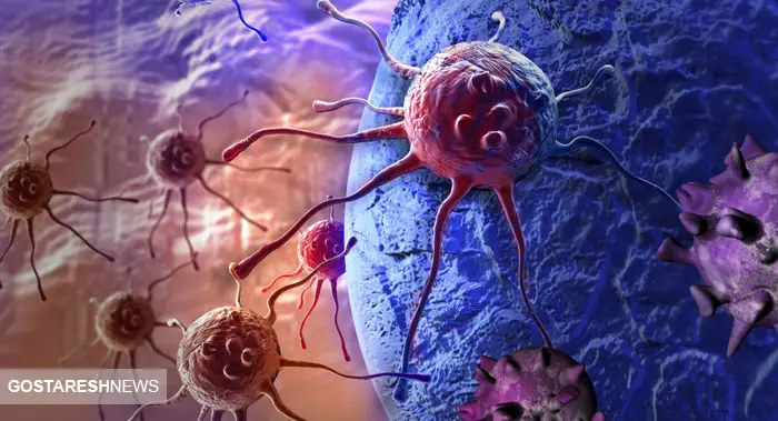 هشدار | یک زخم ساده سرطان را انتقال داد هشدار | یک زخم ساده سرطان را انتقال داد