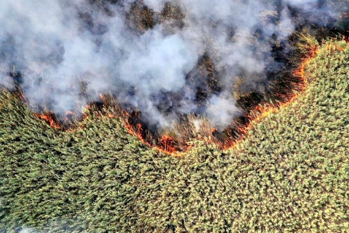اعزام فوری هواپیمای آب‌پاش برای مهار آتش‌سوزی تالاب هورالعظیم