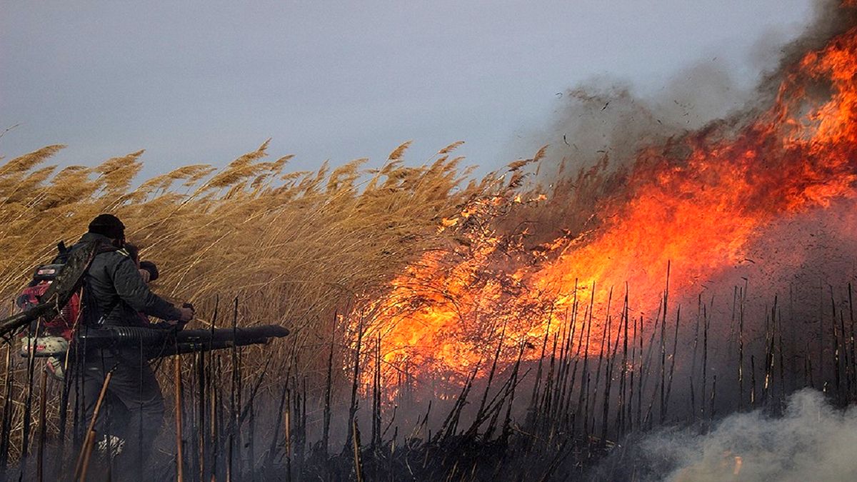 تعیین تکلیف حقابه هورالعظیم/ چه بر سر تالاب آمده است؟ تعیین تکلیف حقابه هورالعظیم/ چه بر سر تالاب آمده است؟