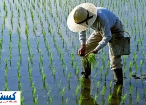 جزییات واریز مستمری مرداد صندوق بیمه اجتماعی اعلام شد