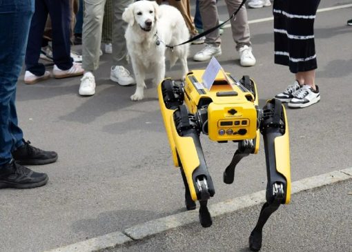 سگ‌های رباتیک پشه‌کش، جدیدترین راه‌حل مبارزه با بیماری‌ها
