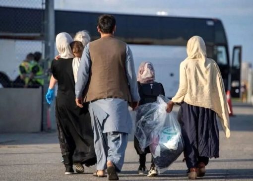 فرمانده انتظامی چالوس: ۱۴۳۹ نفر از اتباع غیرمجاز ردمرز شدند