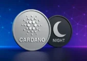 رشد چشمگیر حجم معاملات کاردانو پس از ایردراپ نایت‌ کوین
