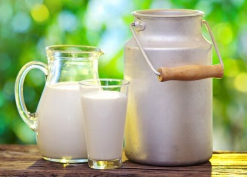 ناگفته‌هایی از ماندگاری شیرهای پاکتی؛ هشدار متخصص تغذیه