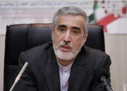 پیرصالحی: حمایت از داروی ایرانی به نفع بیماران است